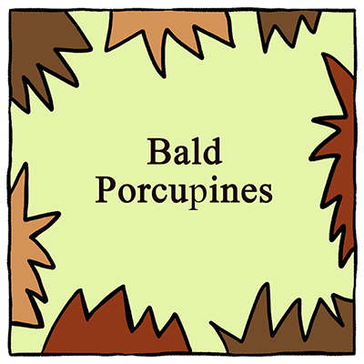 Bald Porcupines